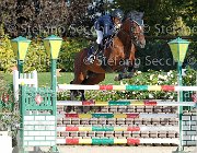FRANCO Vinco io GioCav2013 S6 7736 : Campionati Italiani Giovani Cavalli, Cattolica, FRANCO Francesco, Vinco io, ph Stefano Secchi ©